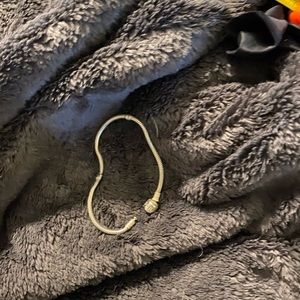 Pandora Charm Bracelet